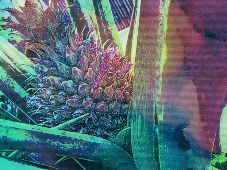 0DF537E9-DFE5-4CA1-B0FB-1ECBA50A4EE4